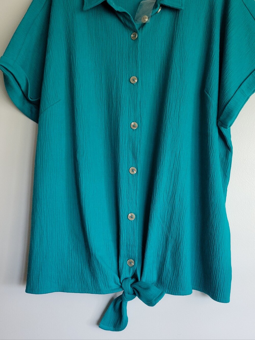 Belle By Kim Gravel Gauze Blouse With Tie Bottom  1X